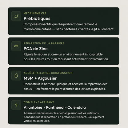 Protocole Purderme – Spray Apaisant aux Prébiotiques