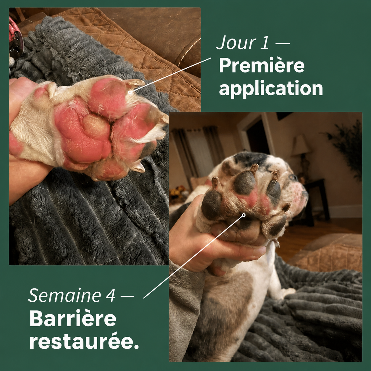 Protocole Purderme – Spray Apaisant aux Prébiotiques