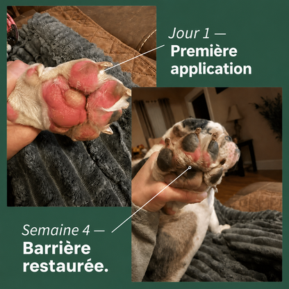 Protocole Purderme – Spray Apaisant aux Prébiotiques