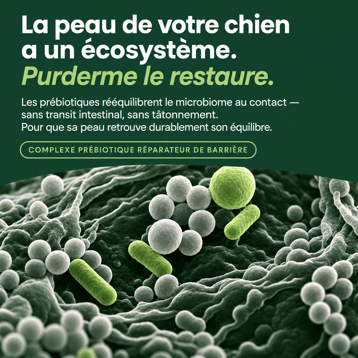 Protocole Purderme – Spray Apaisant aux Prébiotiques