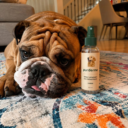 Protocole Purderme – Spray Apaisant aux Prébiotiques